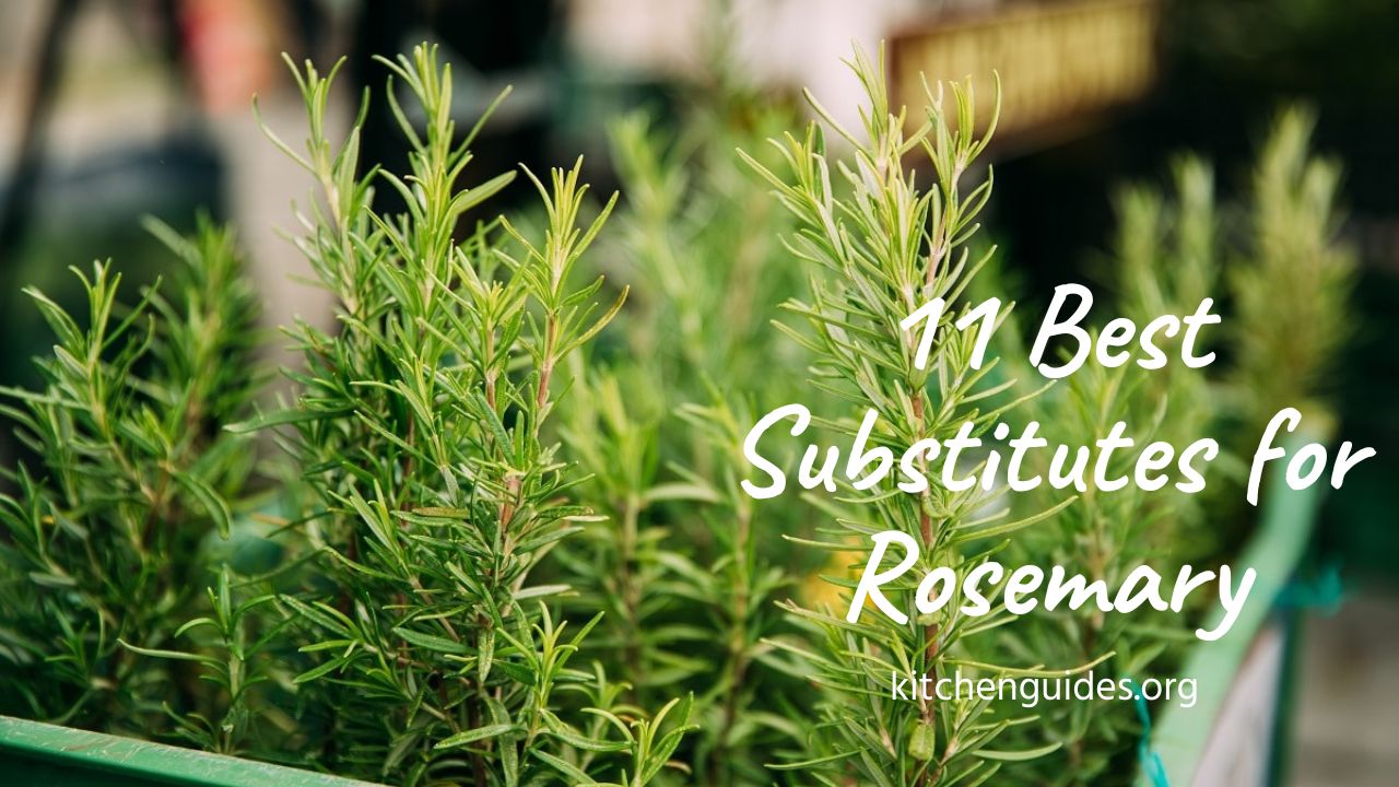The 11 Best Substitutes for Rosemary