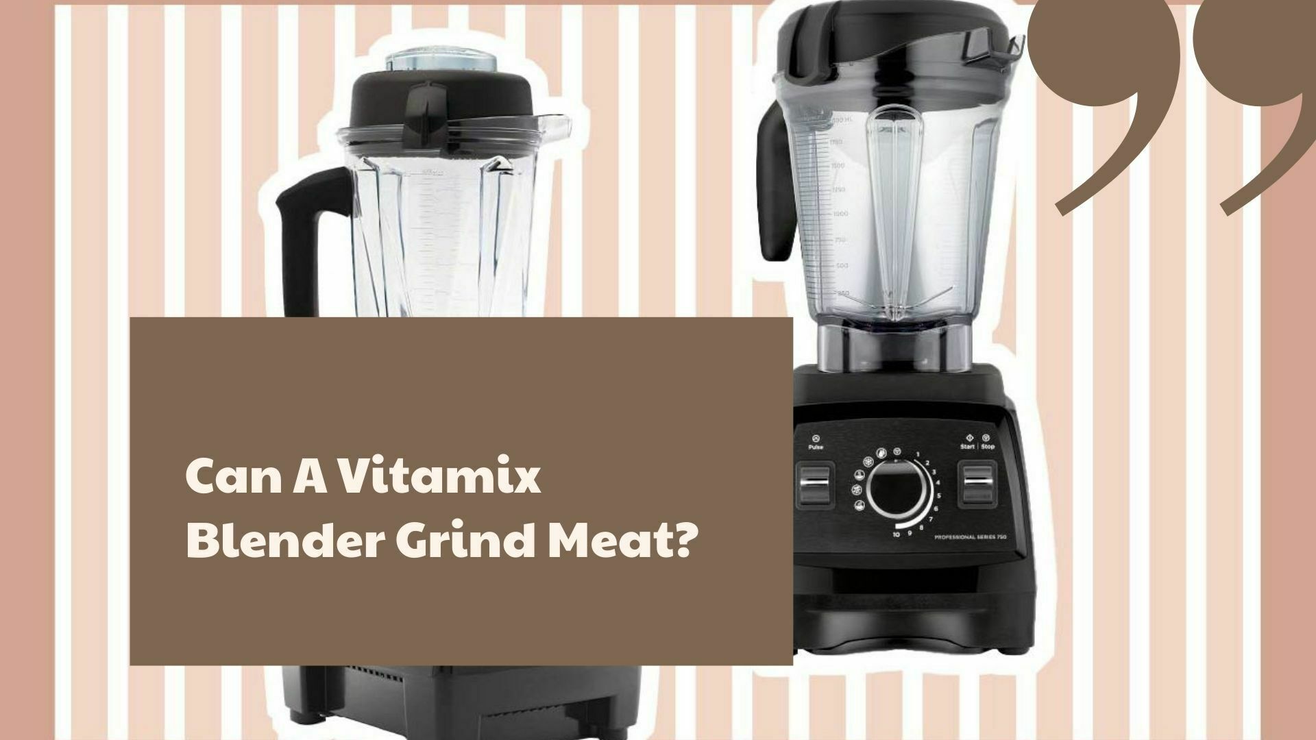 Can A Vitamix Blender Grind Meat