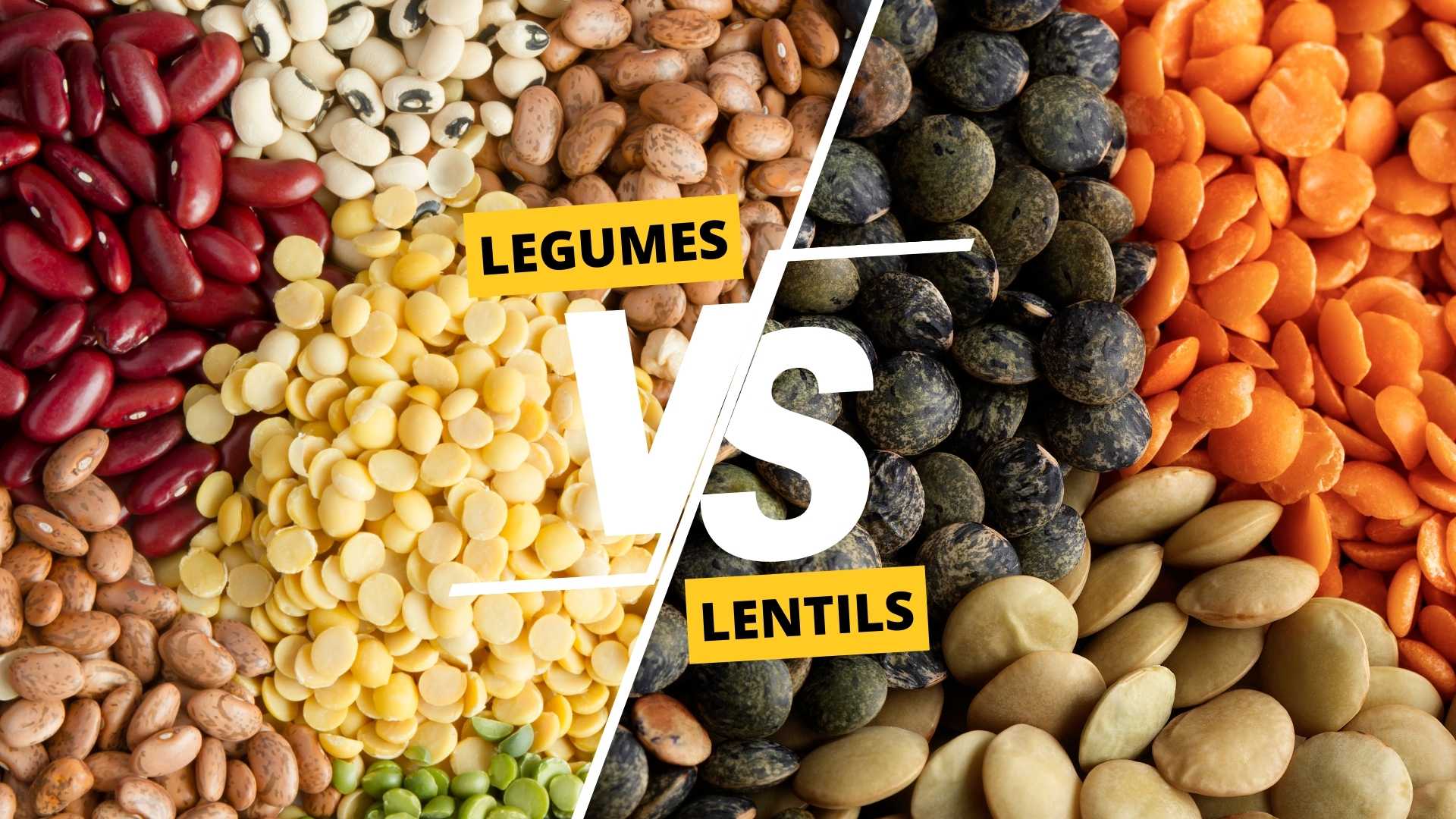Legumes vs Lentils