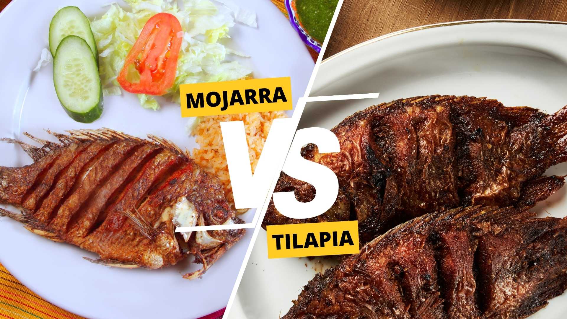 Mojarra vs Tilapia