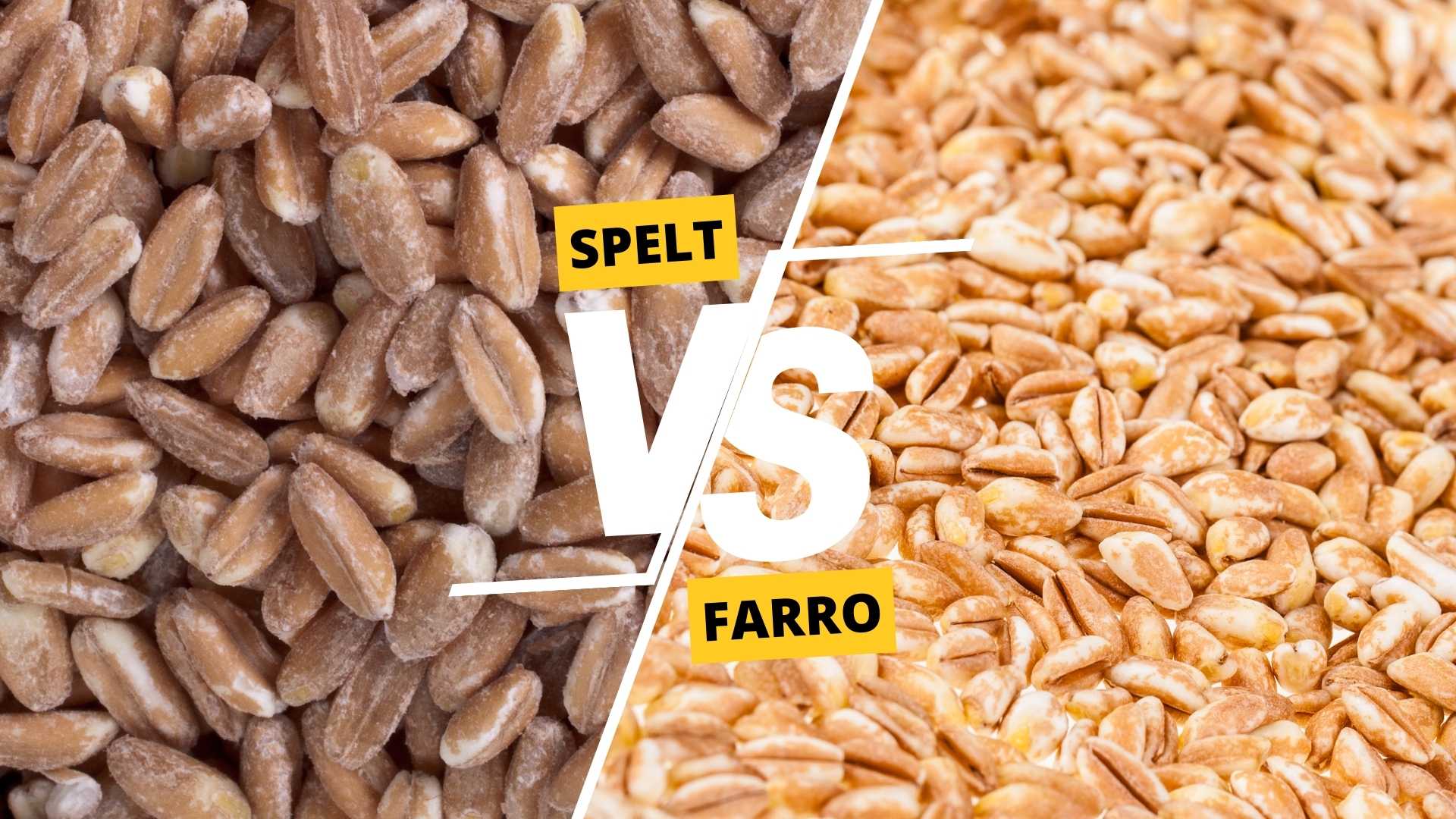 Spelt vs Farro: Which Grain is the Healthier Option for Your Diet?