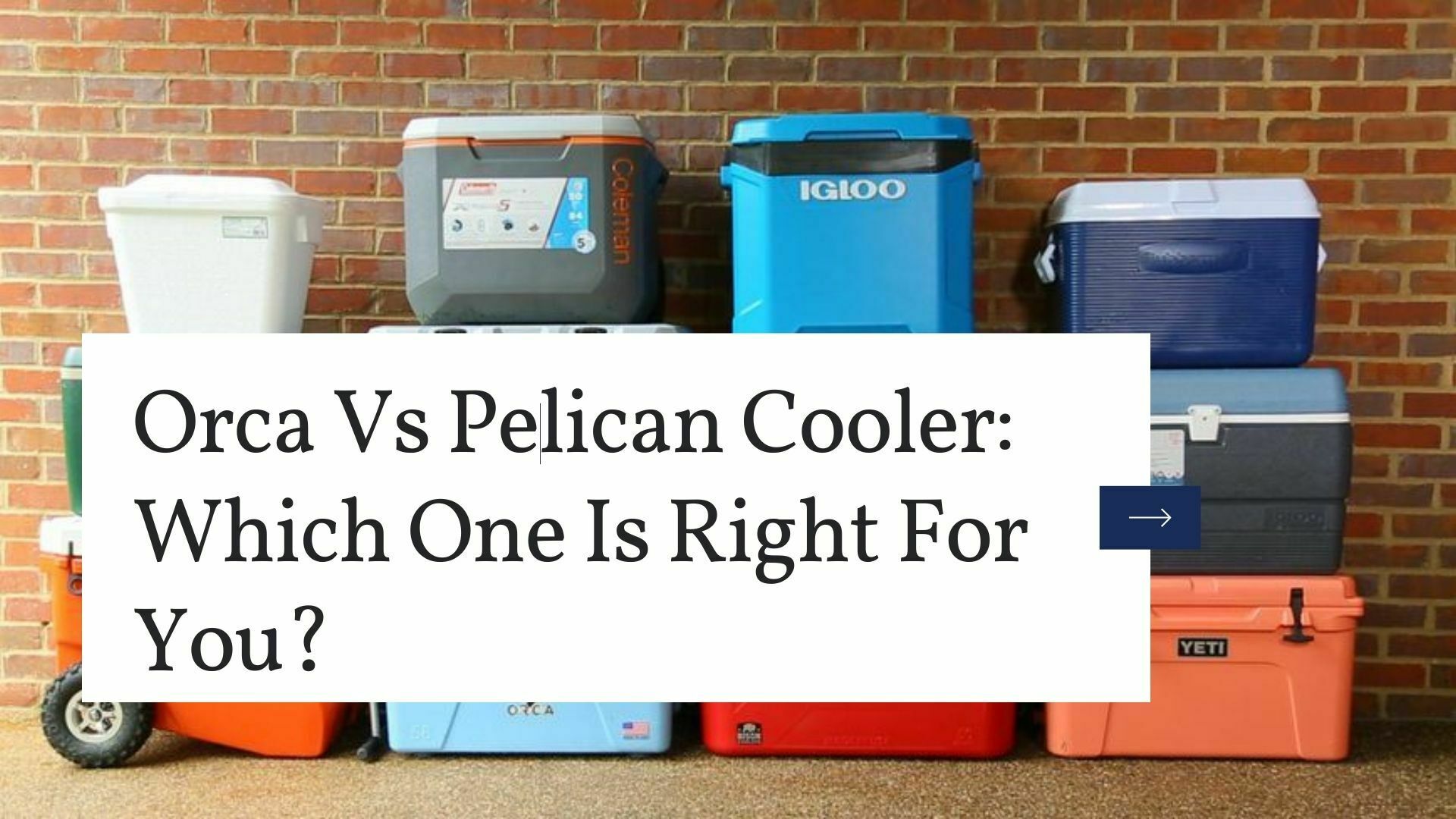Orca Vs Pelican Cooler: Which One Is Right For You?