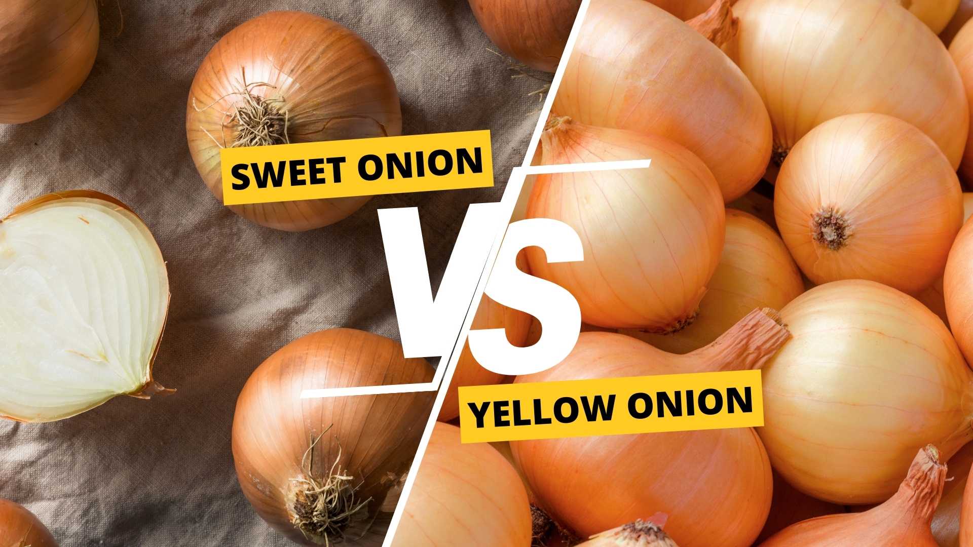 Sweet Onion vs. Yellow Onion