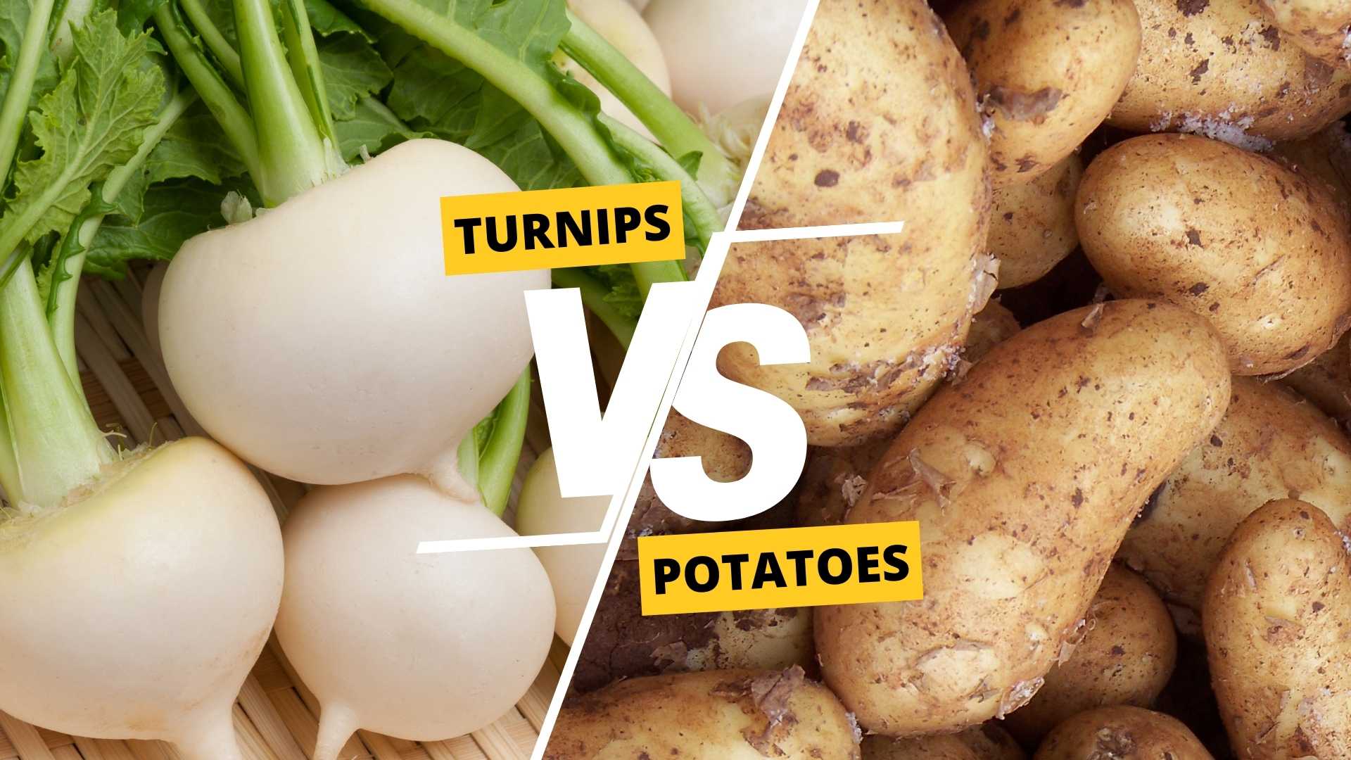 Turnips vs Potatoes